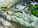 Базилика мон-ря кармелитов в Вади-эс-Сия на горе Кармил. Кон. XII — нач. XIII в.