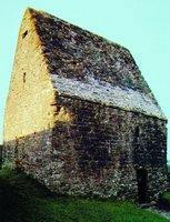Церковь «Дом св. Колумбы» в Келлсе (графство Мит). XI в. (?)
