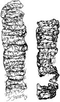 Серебряные пластины, найденные в погребальной пещере в Енномовой долине. Кон. VII в. до Р. Х.
