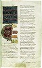 «Дионисиево собрание». IX в. (Reims. Bibl. Carnegie. 671. Fol. 2)