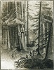 Иконы в керженском лесу. Гравюра с рис. А. П. Мельникова. Кон. XIX в. (ГПИБ)