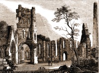 Собор св. Бригиты в Килдэре. Гравюра. 1835 г.