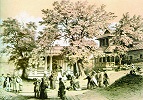 Вход в галерею, ведущую в Дальние пещеры. Литография В. Ф. Тимма. 1859 г. 