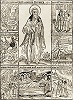 Прп. Моисей Угрин. Ксилография мон. Илии. Патерик Киево-Печерский. К., 1661. Л. 200 (РГБ)