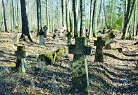 Старое монастырское кладбище. Фотография. 2016 г.