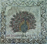 Фрагмент мозаичного пола с изображением павлина. V в. Фото: duomo.firenze.it