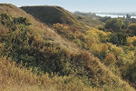 Городище Ст. Рязань. Фотография. 2015 г. Фото: А. В. Слёзкин
