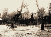 Дальняя пустынька с келлией прп. Серафима Саровского. Фотография М. Дмитриева. 1916 г.