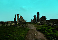 Колоннада в Апамее. II–VI вв. Фотография. 2011 г. Фото: А. С. Зверев