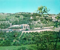 Вид на Гефсиманию и Елеонскую гору