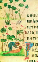 Сотворение Адама. Миниатюра из Киевской Псалтири. 1397 г. (РНБ. ОЛДП. F. 6. Л. 171 об.)